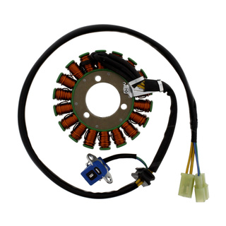 Lichtmaschine Stator F R Hyosung Gt Naked Sport Gv Sportcruis