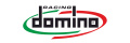 Domino Racing