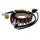 Lichtmaschine Stator für Yamaha YFM 350