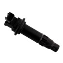 Zündspule mit Zündkerzenstecker passend...