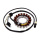 Lichtmaschine Stator für Suzuki LS 650 F P Savage