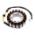 Lichtmaschine Stator für Honda VT 1100 C2 Shadow ACE Shadow Aero