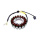 Lichtmaschine Stator für Arctic Cat Cat TRV 700 Suzuki LT-A 450 500 700 750