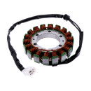 Lichtmaschine Stator für Triumph TT 600 2000-2003