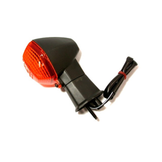 Blinkleuchte Blinker hinten links für Suzuki GSF 600 1200 GSX-R 600 750 1000