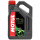 2-Takt Motoröl Motul 510 HC-Synthese 4 Liter