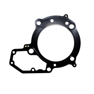 Zylinderkopfdichtung für BMW R 1100
