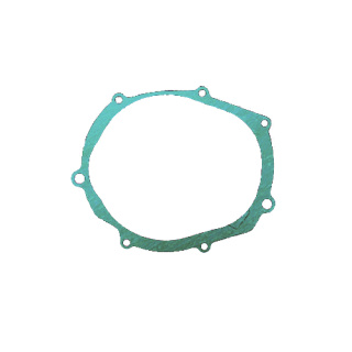 Dichtung Lichtmaschinendeckel für Beta Alp Euro Jonathan M4 Suzuki DR 350 ccm
