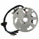 Lichtmaschine Stator passend für Longjia LJ50QT-F Alien 50 2-Takt Bj. 2006