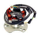 Lichtmaschine Stator passend für Derbi GPR 50 Nude...