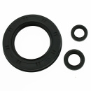 Motor Simmerring Satz passend für Honda CBR 900 RR...