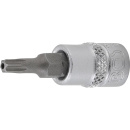 1/4" Stecknuss Bit- Einsatz T-Profil mit Bohrung...