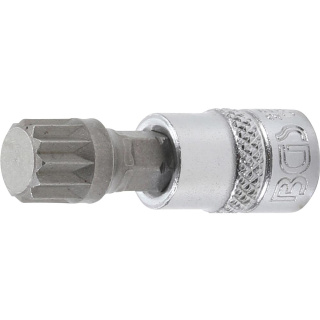 1/4" Stecknuss Bit- Einsatz Innenvielzahn M10 für XZN
