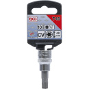 3/8" Stecknuss Bit- Einsatz T-Profil für Torx T45