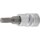 1/4" Stecknuss Bit- Einsatz Innenvielzahn M5...
