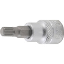 3/8" Stecknuss Bit- Einsatz Innenvielzahn (für...