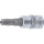 1/4" Stecknuss Bit- Einsatz TS-Profil mit Bohrung für Torx Plus TS30
