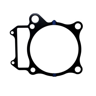 Dichtung Zylinderfuß passend für Polaris Predator 500  Bj. 2003-2007