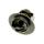 Thermostat passend für Honda CB 600 F Hornet  Bj. 1998-2006