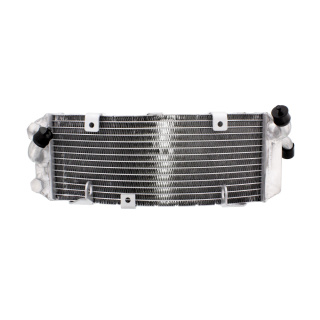 Kühler passend für Yamaha XP 500  Bj. 2004-2007