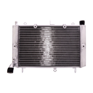 Kühler passend für Yamaha FZS 1000  Bj. 2001-2005