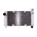 Kühler passend für Yamaha FZ6 600  Bj. 2004-2006