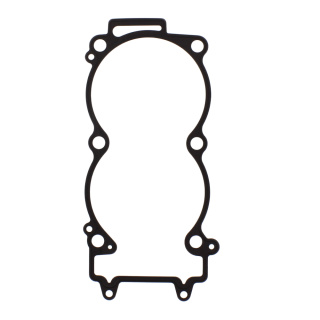 Dichtung Zylinderfuß passend für Polaris RZR 900  Bj. 2013-2014