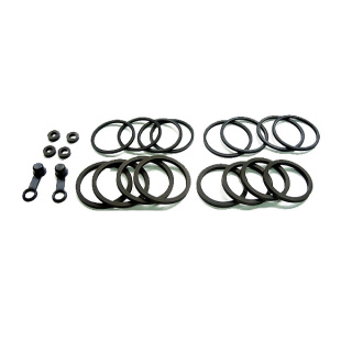 Bremssattel Reparatursatz passend für Triumph Speed Triple 955 EFI 2002-2004