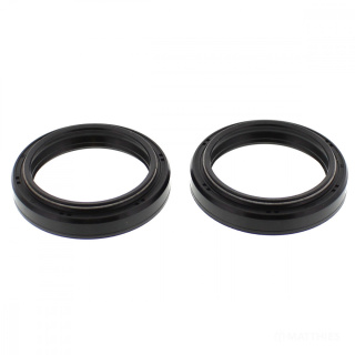 Gabel Simmerring Satz passend für Honda FJS 400  Bj. 2006-2016