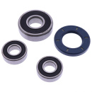 Radlager Satz hinten JMP passend für Yamaha XV 125...