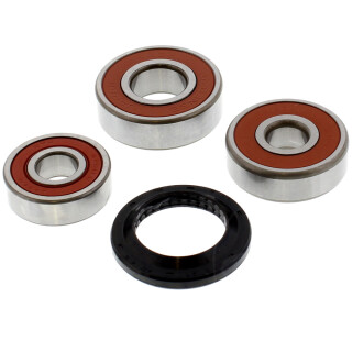 Radlager Satz mit Simmerringen hinten für Honda AFS 110 2015-16 ANF 125 2007-12