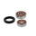 Radlager Satz mit Simmerringen hinten für Honda CB 125 1975-79 CG 125 1996-99