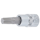 1/4" Stecknuss Bit- Einsatz T-Profil für Torx T35