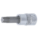 1/4" Stecknuss Bit- Einsatz T-Profil für Torx T40