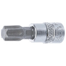 1/4" Stecknuss Bit- Einsatz T-Profil für Torx T50
