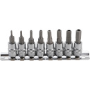 1/4" Biteinsatz Stecknuss Satz Innensechskant mit...