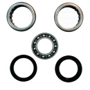 Schwingenlager Reparatursatz für Honda CBR 900 1100...