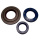 Wellendichtring Motordichtring Satz für Vespa P 200 PX 200