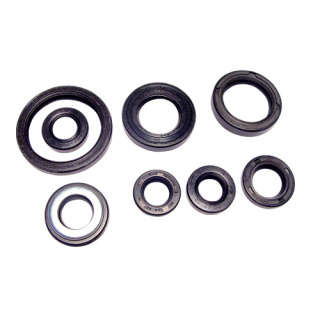 Wellendichtring Motordichtring Satz für Yamaha YFM 660 2002-2005