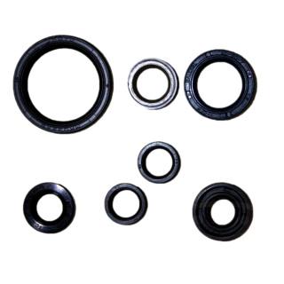 Wellendichtring Motordichtring Satz für Yamaha WR 450 YFZ 450 YZ 450