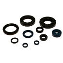 Wellendichtring Satz Motordichtring für Yamaha YZ...