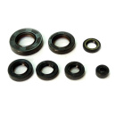 Wellendichtring Motordichtring Satz für Honda MBX 80...