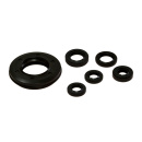 Wellendichtring Motordichtring Satz für Honda XL 500...