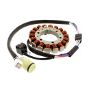Lichtmaschine Stator für Yamaha YFM 350 Raptor...