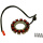 Lichtmaschine Stator für Harley Davidson XL 883 XL 1200 XL-ANV 1200 XR 1200