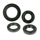 Wellendichtring Motordichtring Satz für AGM GMX 450...