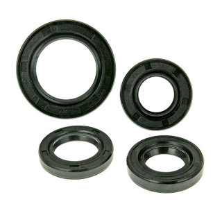 Wellendichtring Motordichtring Satz für Flex Tech Riva Speedy Sprint Thunder